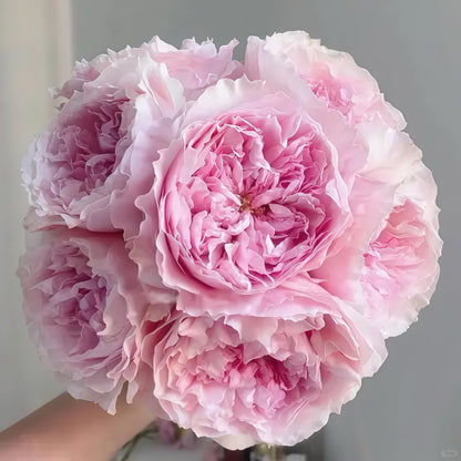 May include: A bouquet of light pink roses with ruffled petals. The flowers are tightly clustered, creating a full, round shape. The roses have a soft, delicate appearance, with varying shades of pink.