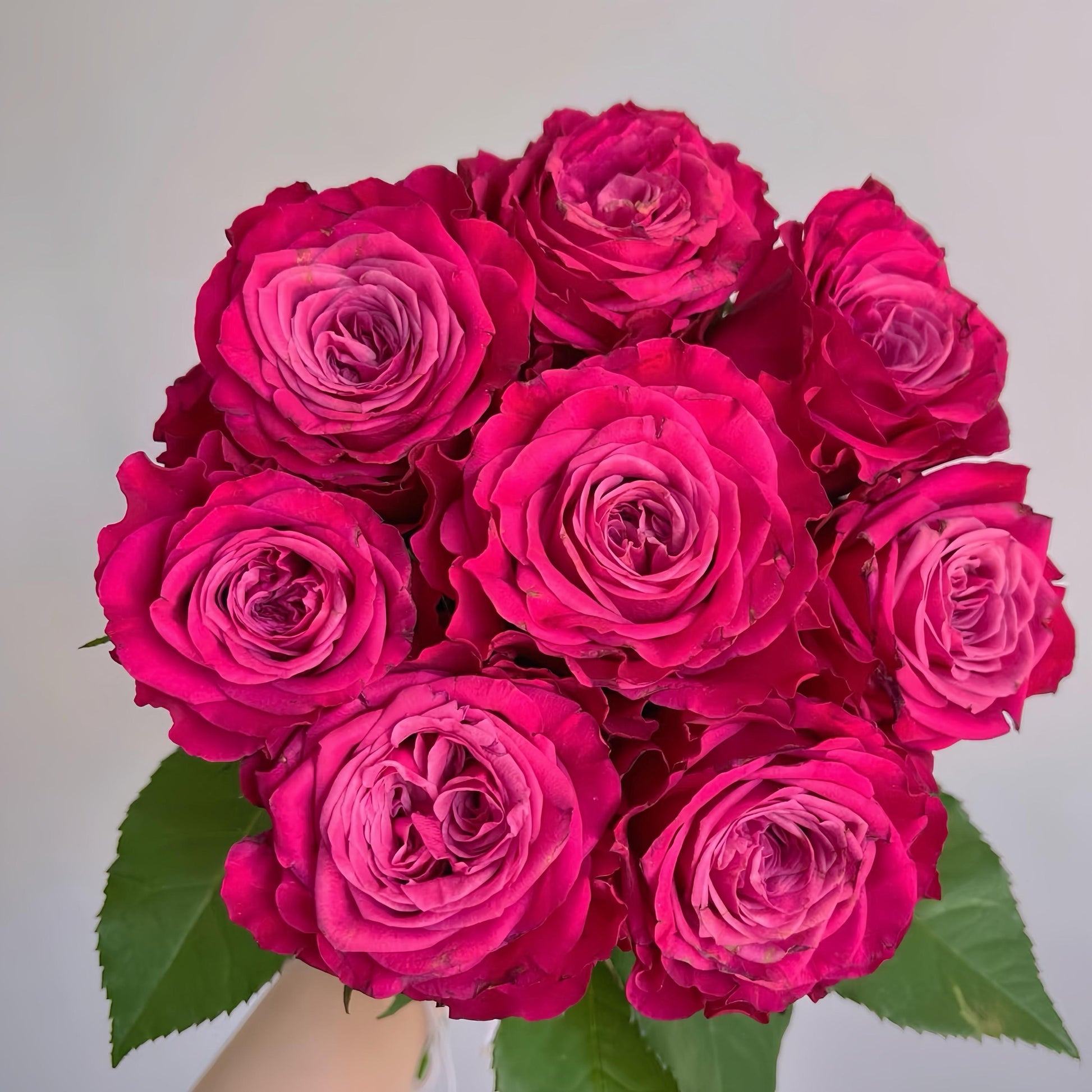 May include: A bouquet of vibrant, deep pink roses. The fully bloomed flowers have a layered petal structure, with a darker pink center that fades to a lighter shade towards the outer petals. Green leaves provide a contrasting backdrop to the blooms.